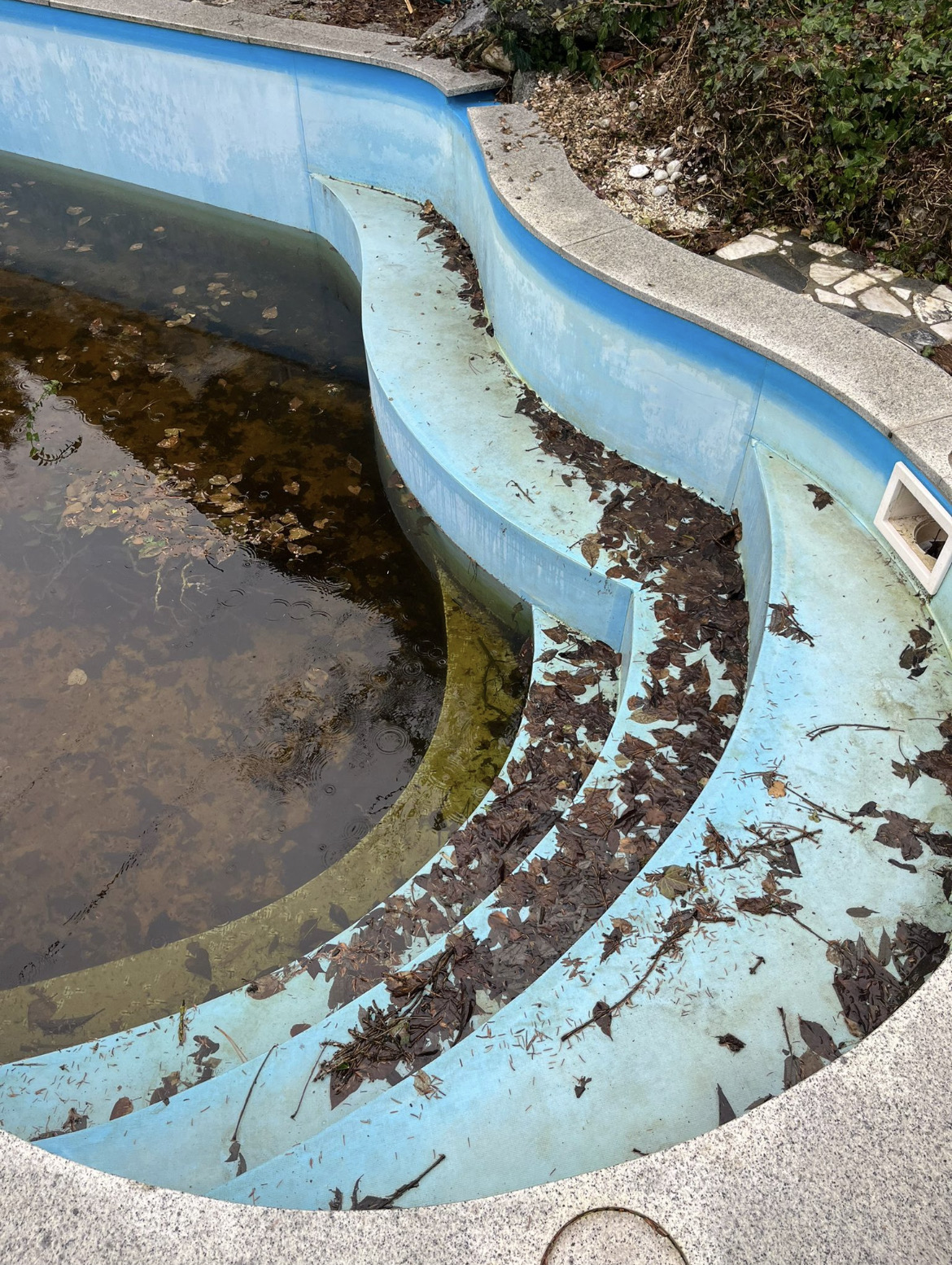 Pool Sanierung